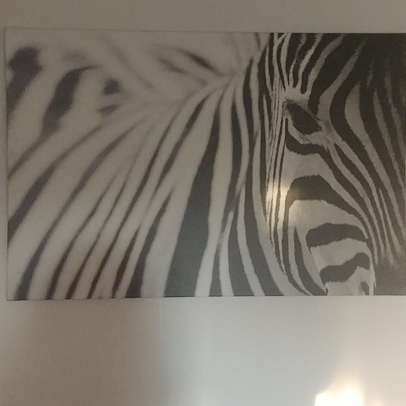 Zebra Print - Picture 2 of 2